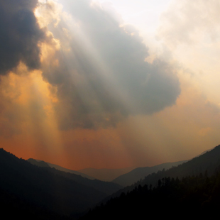 lsp_photo_peaks_4452