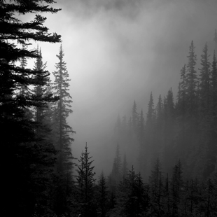 lsp_photo_peaks_8288