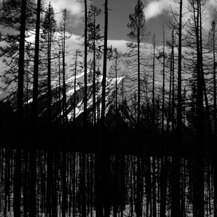 lsp_photo_peaks_9205
