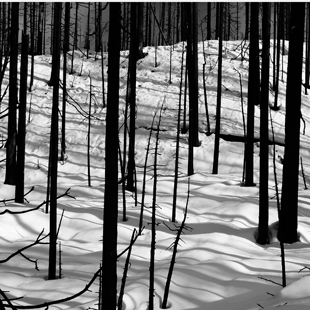 lsp_photo_peaks_9211