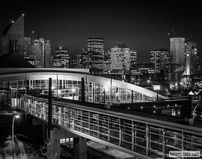 Leroy Schulz Photography Blog-1729