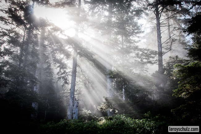 Leroy Schulz Photography Blog-2077