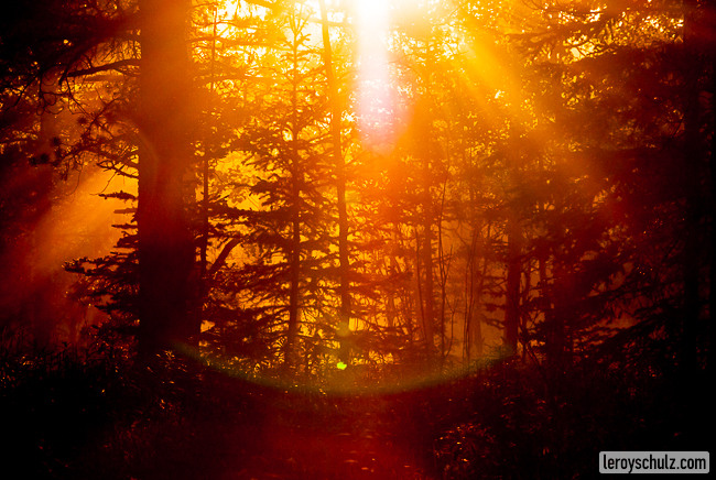 Leroy Schulz Photography Blog-4404