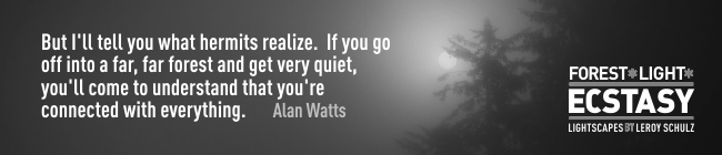 leroyschulzforestlightecstasyquotesalanwatts
