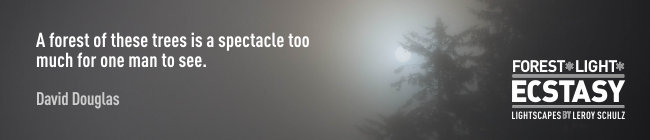 leroyschulzforestlightecstasyquotesdaviddouglas