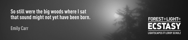 leroyschulzforestlightecstasyquotesemilycarr