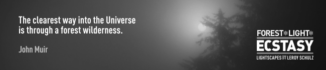 leroyschulzforestlightecstasyquotesjohnmuir