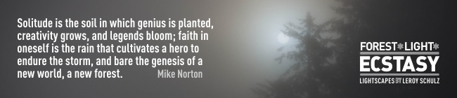 leroyschulzforestlightecstasyquotesmikenorton