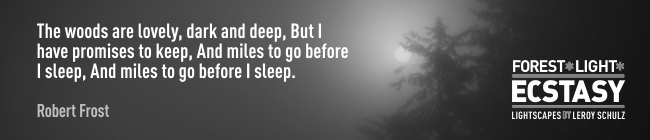 leroyschulzforestlightecstasyquotesrobertfrost