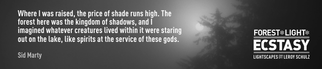leroyschulzforestlightecstasyquotessidmarty